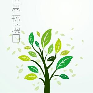 缘来