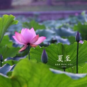 单纯的幸福