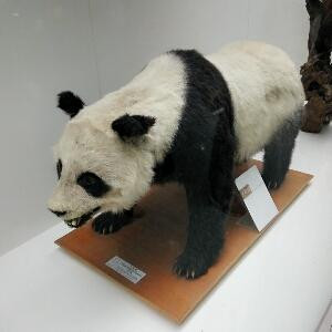 哈哈
