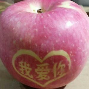 梦回大唐
