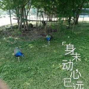 死神