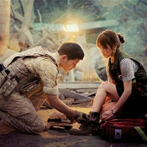 菩提树下枯叶蝶