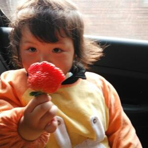 能不能一目十行