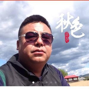 爱上猫的鱼