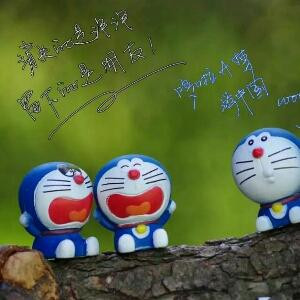 爱书人17
