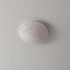 狼在江湖