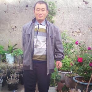爱书人