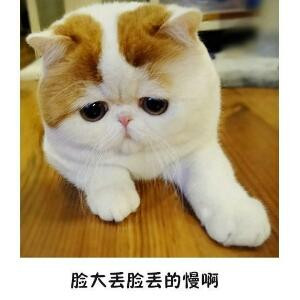 琛