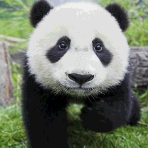 小雾滴