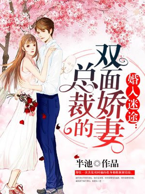 婚入迷途：总裁的双面娇妻
