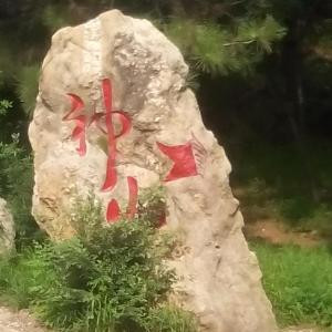 俊涛