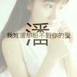 洛雪情冷意