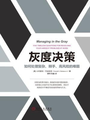 灰度决策：如何处理复杂、棘手、高风险的难题