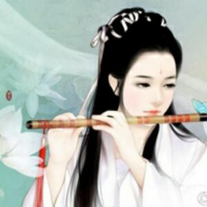 寂月玉殇