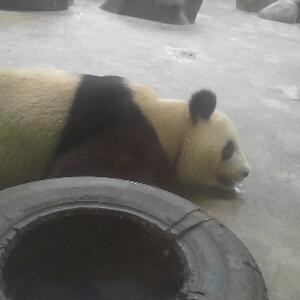 欣怡妹仔