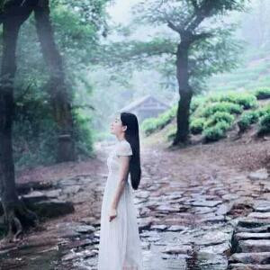 喵喵喵和汪汪汪