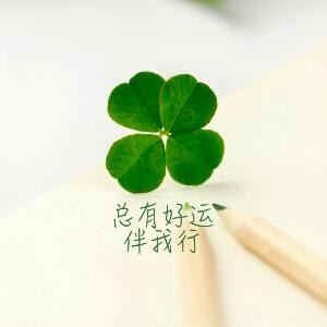 书虫
