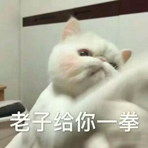 托胖胖