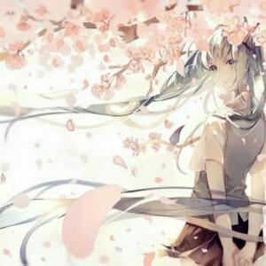 柒月