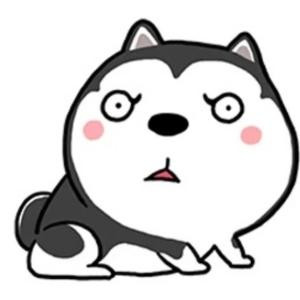 阿狸撕甲