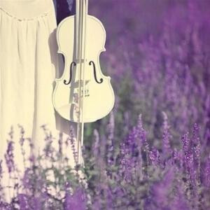 年少时光不为情