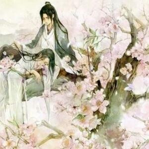 陌上花心愿