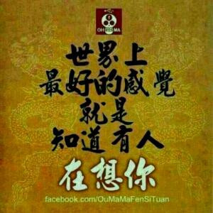 变了心的玫瑰