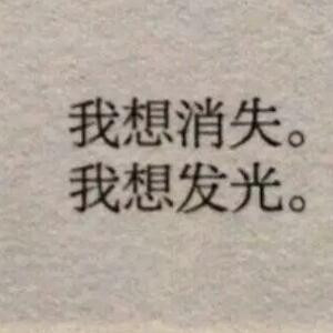 杒