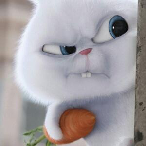 mengmeng