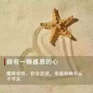 灰姑娘