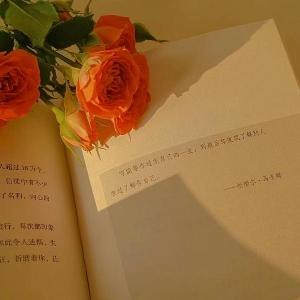 咦咦咦