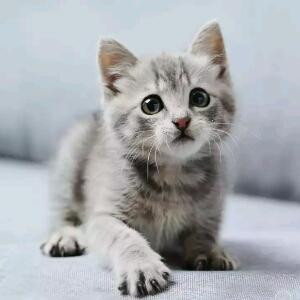 【把爱藏在心里】