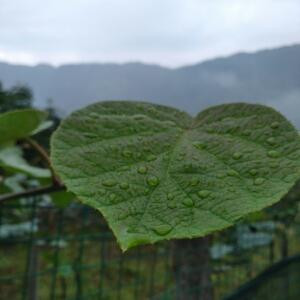 手机用户3413181072