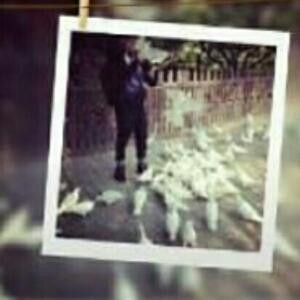 坐在坟头调戏鬼