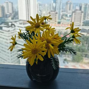 悠然居