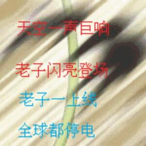 爱没商量