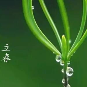 小小
