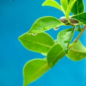 江南烟雨梦