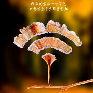 大神