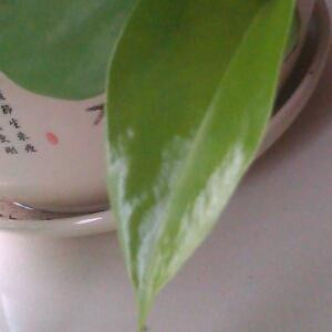 点点