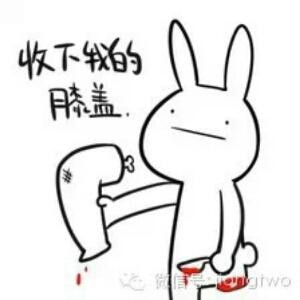 不解释