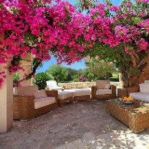 曼珠沙华De泪丶