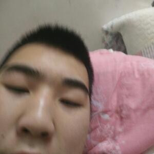 大裨
