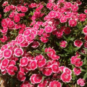 时光叫我别回头