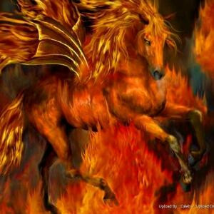 ☆谈天说地☆