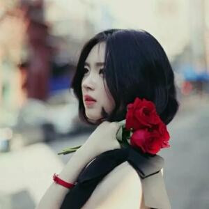 红红玫瑰