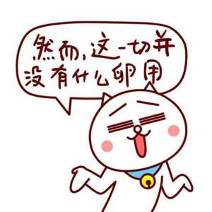 懒猫
