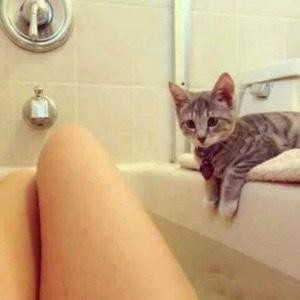 猫斯蓝士