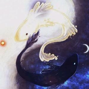 阴阳鱼