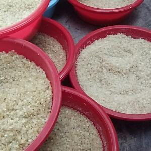 玄幻修真界败类